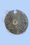 Serpentine Shield II