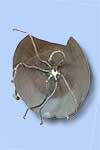 Serpentine Shield I
