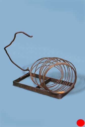 Metal sculpture - thick, coiled wire resembles cat torso and tail